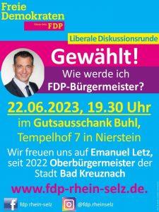 Gewählt! Wie werde ich FDP-Bürgermeister?